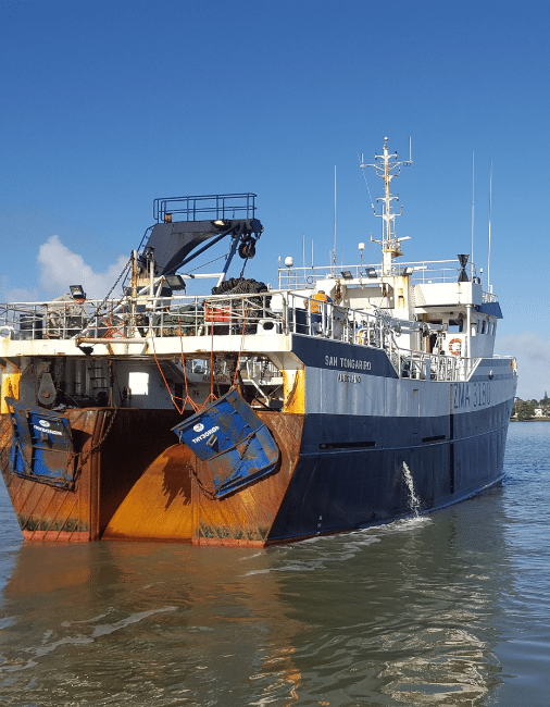 Marine Electrical Services Auckland